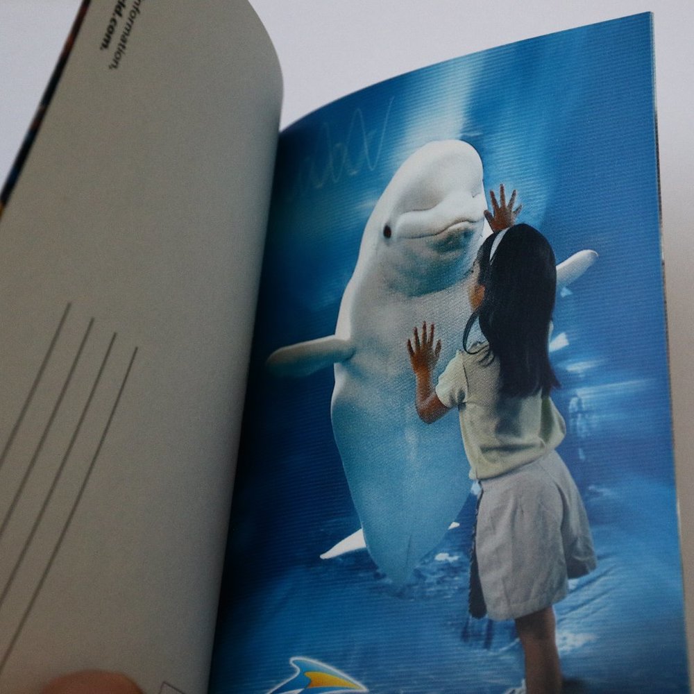 3 SeaWorld Postcard Adventure Theme Park Orlando Vintage Post Cards Set New